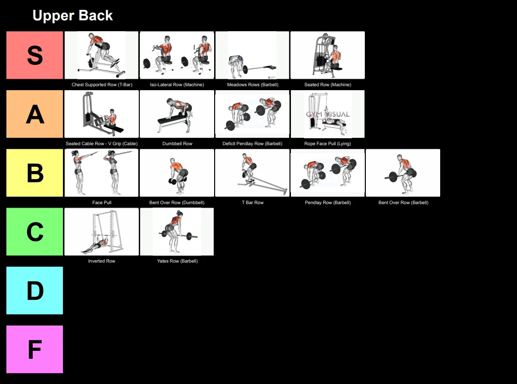 Hevy Tracker tier list showing exercise performance rankings